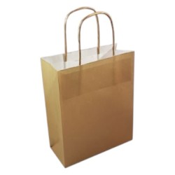 10 stuks Papieren cadeautassen goud 