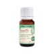 Aroma Sense Australische Tea Tree - Solanie -  Etherische Olie 10ml