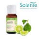 Aroma Sense Bergamot - Solanie - Etherische Olie 10ml
