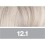 12.1 Super Light Blonde Platinum Ash Extra
