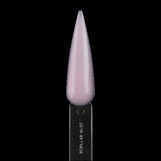 All-In-One Gel Brush - Excellent Pro - 11g - Populair Nude