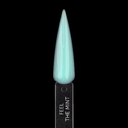 All-In-One Gel Brush - Excellent Pro - 11g - Feel the Mint