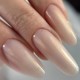 All-In-One Gel Brush - Excellent Pro - 11g - Golden Whisper
