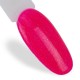 Molly Nails Gellak 10g - Kleur: Nr. 312 Molly Nails Gellak 10g - Kleur: Nr. 312