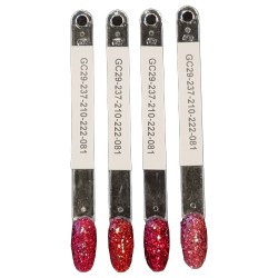 Nail Art Glitter Combinatie - GC29