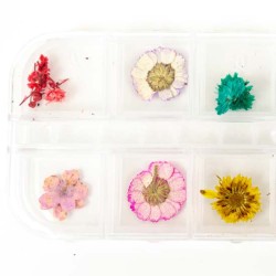 Nailart Bloemen nr.1 Nailart Bloemen nr.1