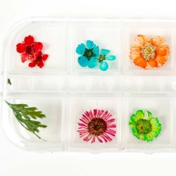 Nailart Bloemen nr.5 Nailart Bloemen nr.5