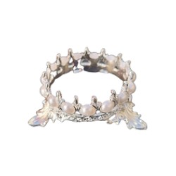 Luxe penseelhouder kroon met parels