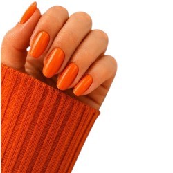 WK Oranje Gellak