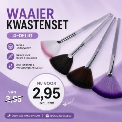 Waaier Kwasten Set - Set van 4 kwasten