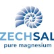 Zechsal Magnesium MSM Gel - 100ml