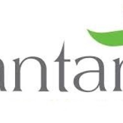 Santana Alpenrose 3ml Ampul