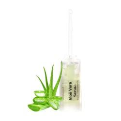  XXL Ampul Aloë Vera Serum 2ml