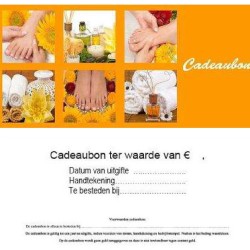Cadeaubonnen met envelop 10st - Nr. 22