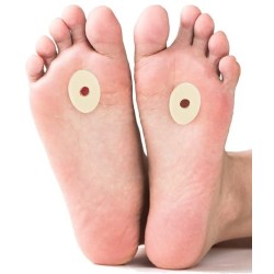 Vilt ringen - Likdoornpleister - Ovaal Klein 15st