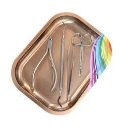 Nail Tray Rainbow - Instrumenten Tray Mini Regenboog - Rose Gold