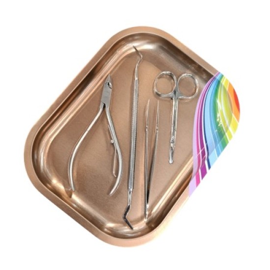 Nail Tray Rainbow - Instrumenten Tray Mini Regenboog - Rose Gold