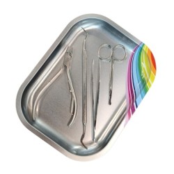 Nail Tray Rainbow - Instrumenten Tray Mini Regenboog - Silver